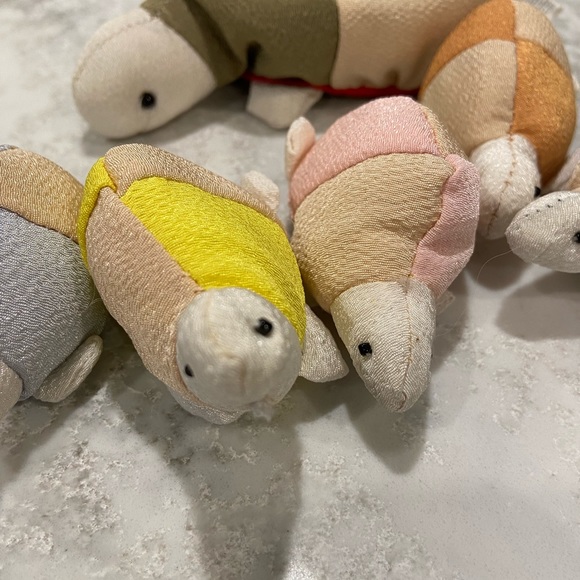 Momma turtle and babies in a bag. - Picture 3 of 3